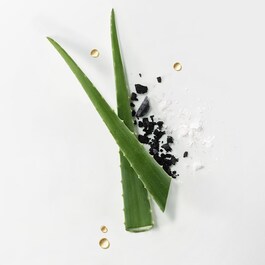 Scrub - Gommage soin détox cuir chevelu