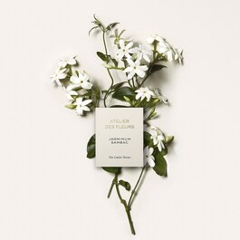 Atelier des Fleurs Jasminum Sambac - Eau de Parfum