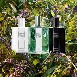 Pour un Homme de CARON Le Matin - Eau de Toilette