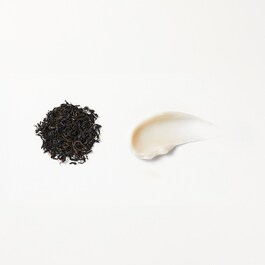 Crème Perfectrice Jeunesse au Thé Noir