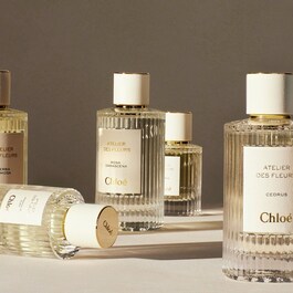 Atelier des Fleurs Immortelle - Eau de Parfum