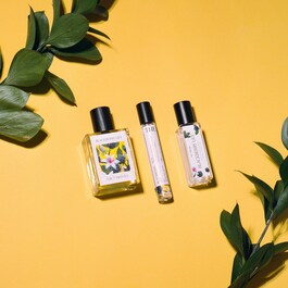 Blackberry Lily - Huile de Parfum