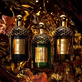 Absolus Allegoria - Santal Royal - Eau de Parfum