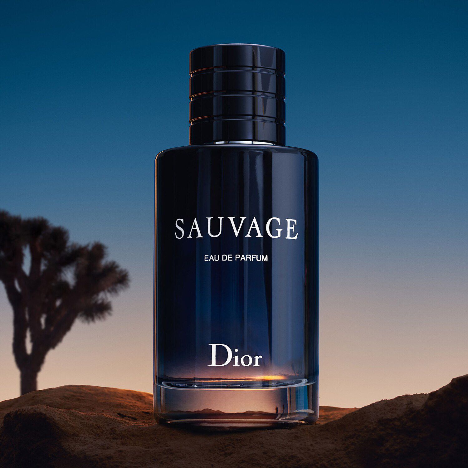 Mens dior sauvage cologne 2025