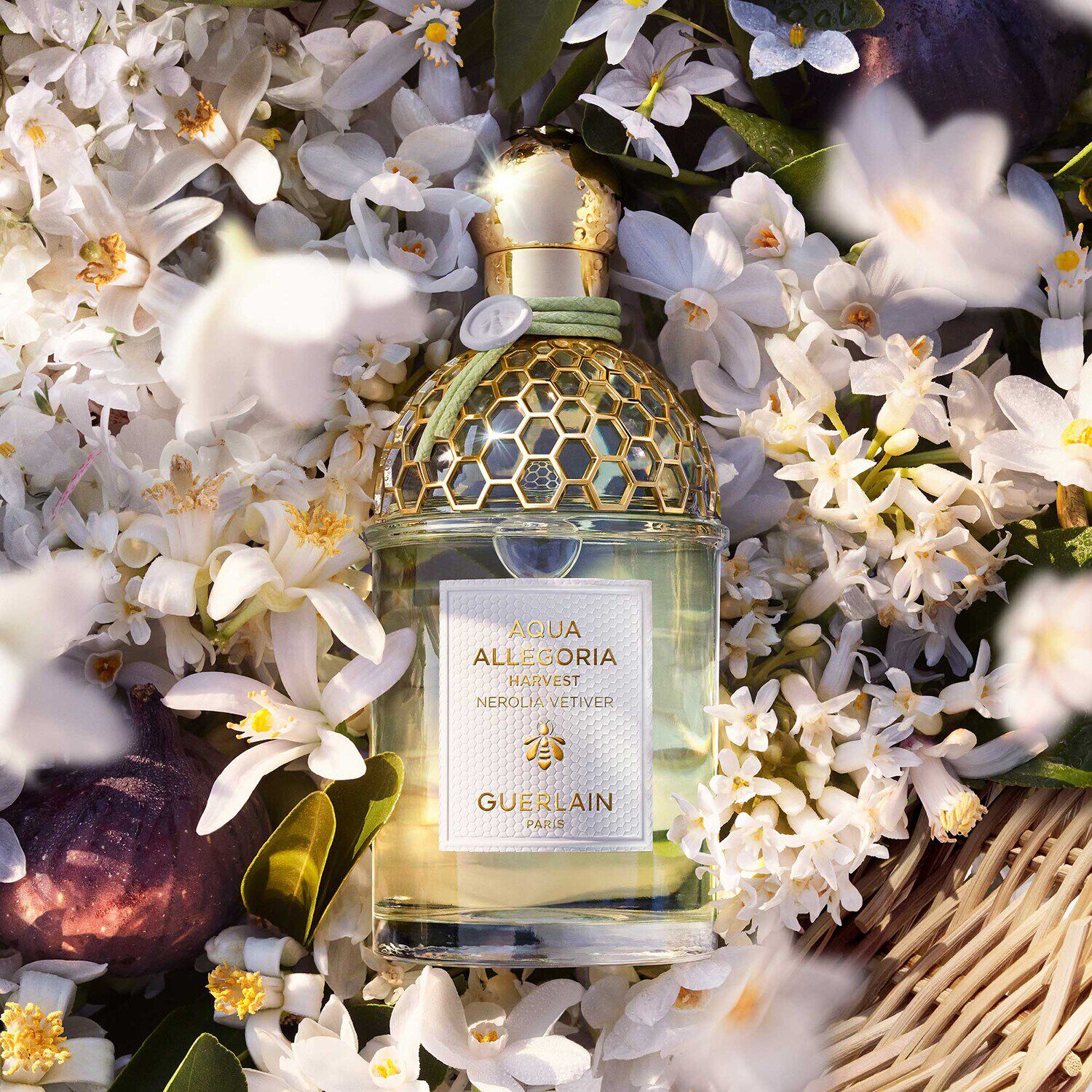 Aqua Allegoria Harvest Nerolia Vetiver Eau De Toilette de