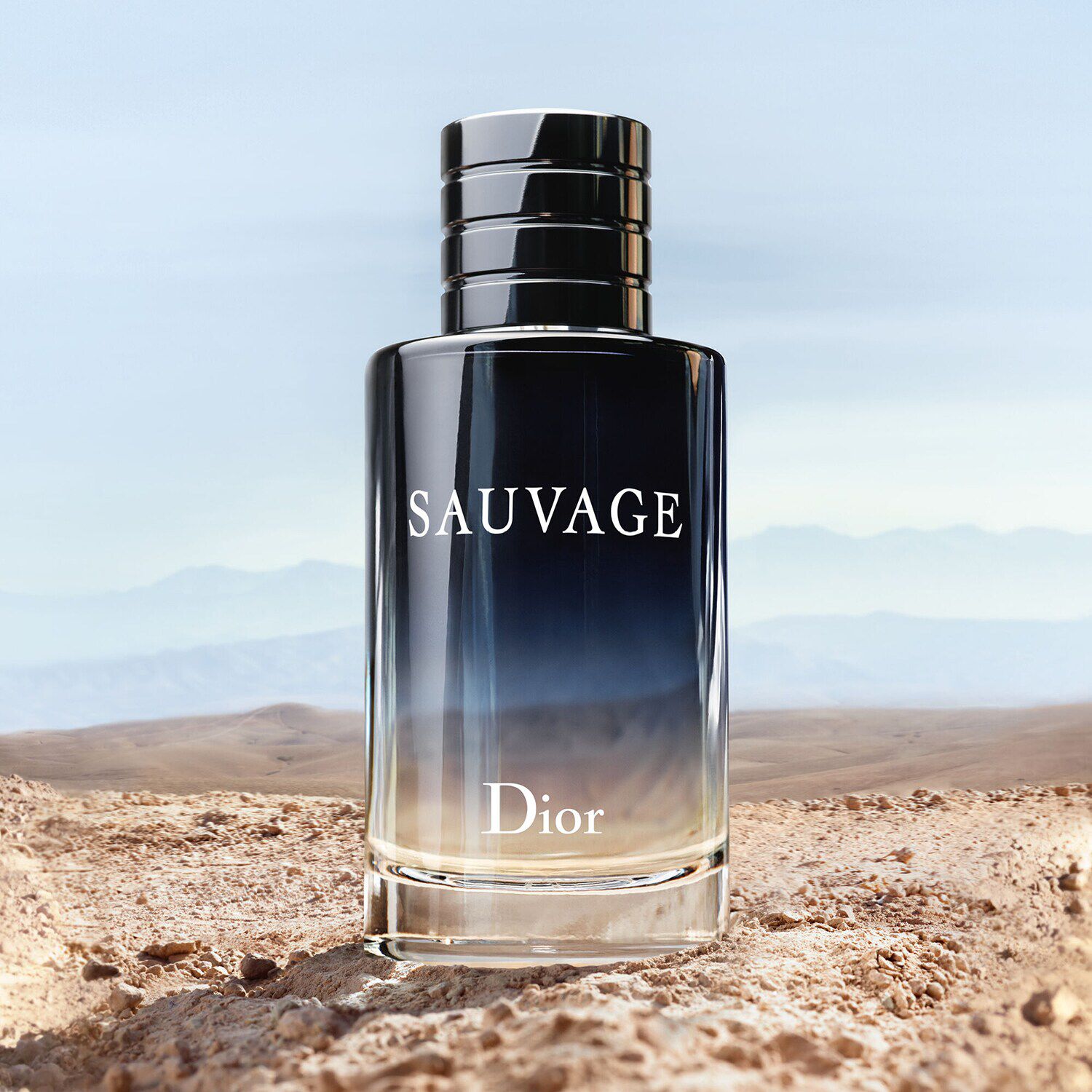 Fragrance sauvage sale