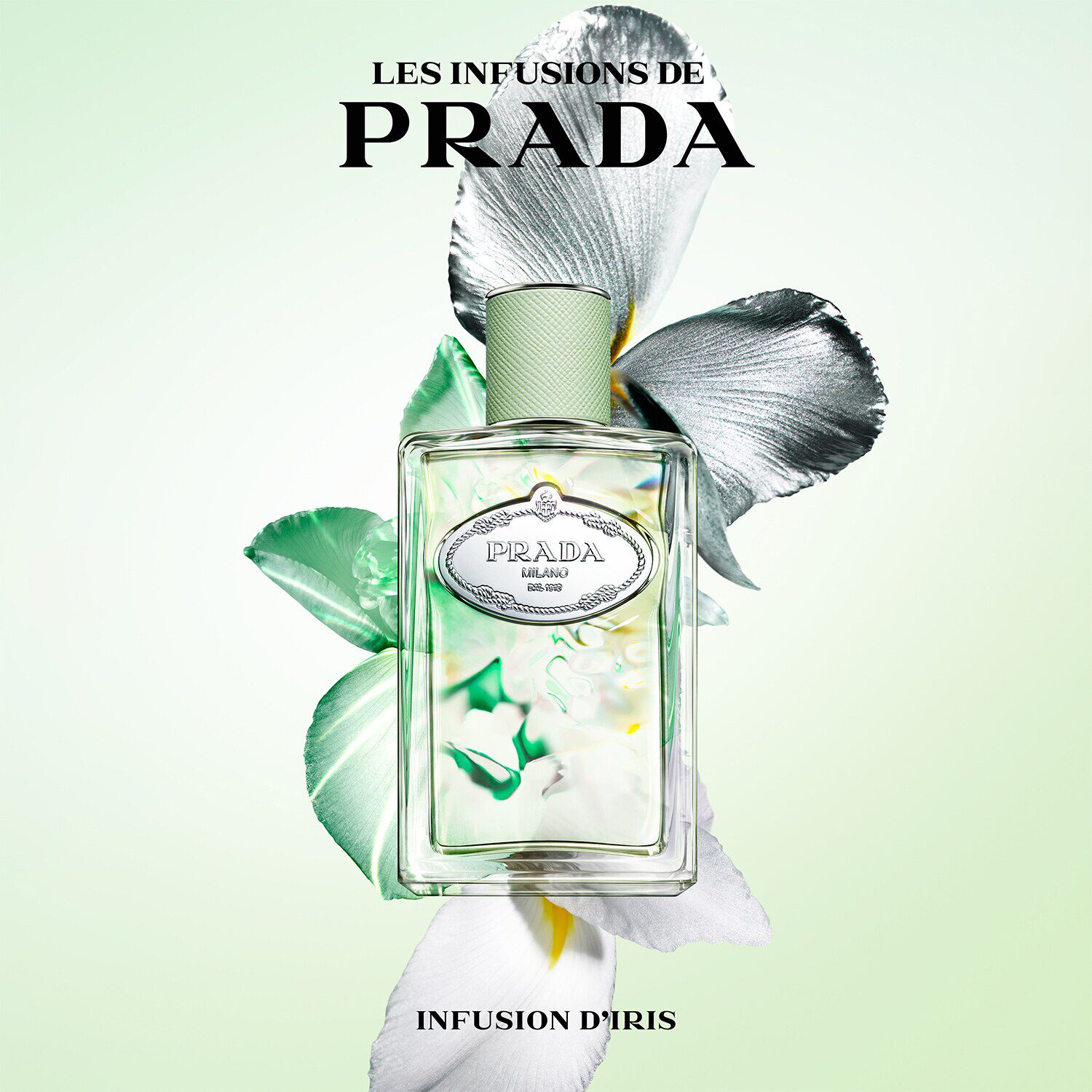 Infusion 2024 iris prada