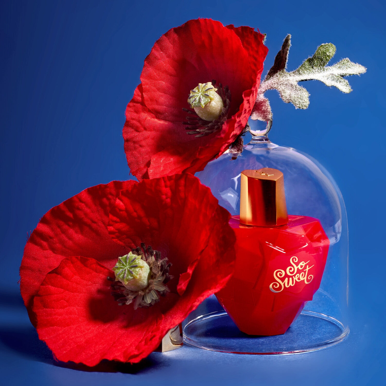 Lolita lempicka best sale so sweet