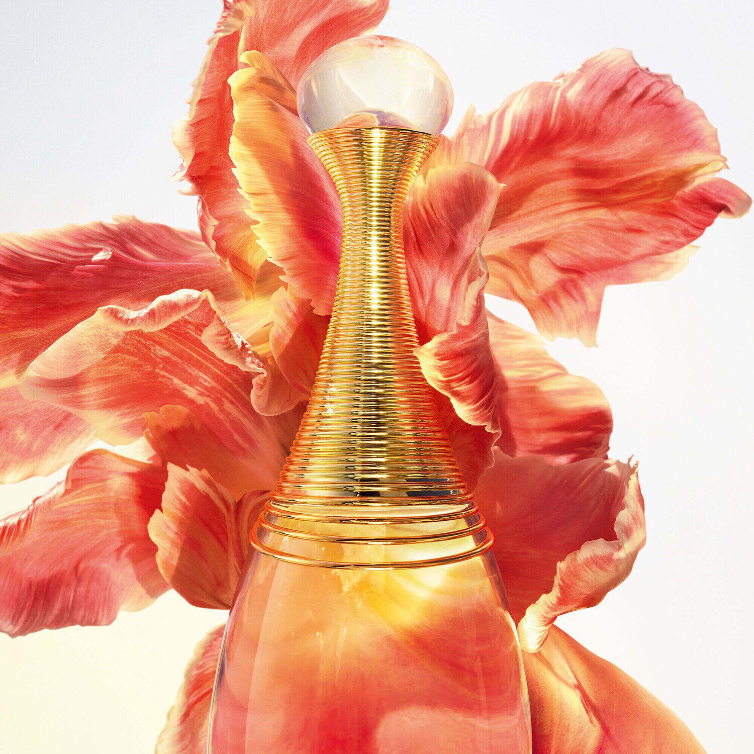 Jadore 100ml hotsell sephora