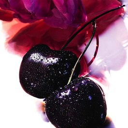 La Petite Robe Noire - Coffret Eau de Parfum
