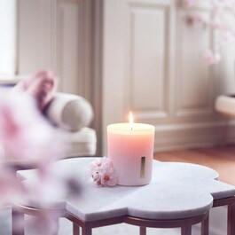 The Ritual of Sakura - Bougie parfumée en cire naturelle à la Fleur de cerisier 