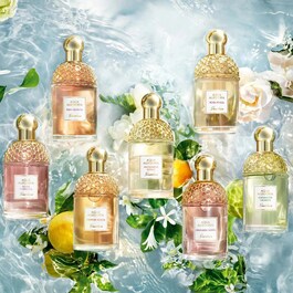 Aqua Allegoria Bergamote Calabria - Eau de Toilette