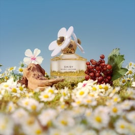 Marc jacobs miss daisy discount