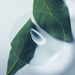 Botanical Repair™ - Après-Shampooing Réparateur