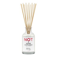 Not A Home Diffuser, JULIETTE HAS A GUN