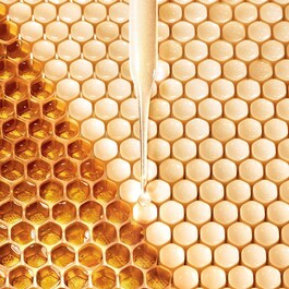 Abeille Royale - Lotion Fortifiante À La Gelée Royale