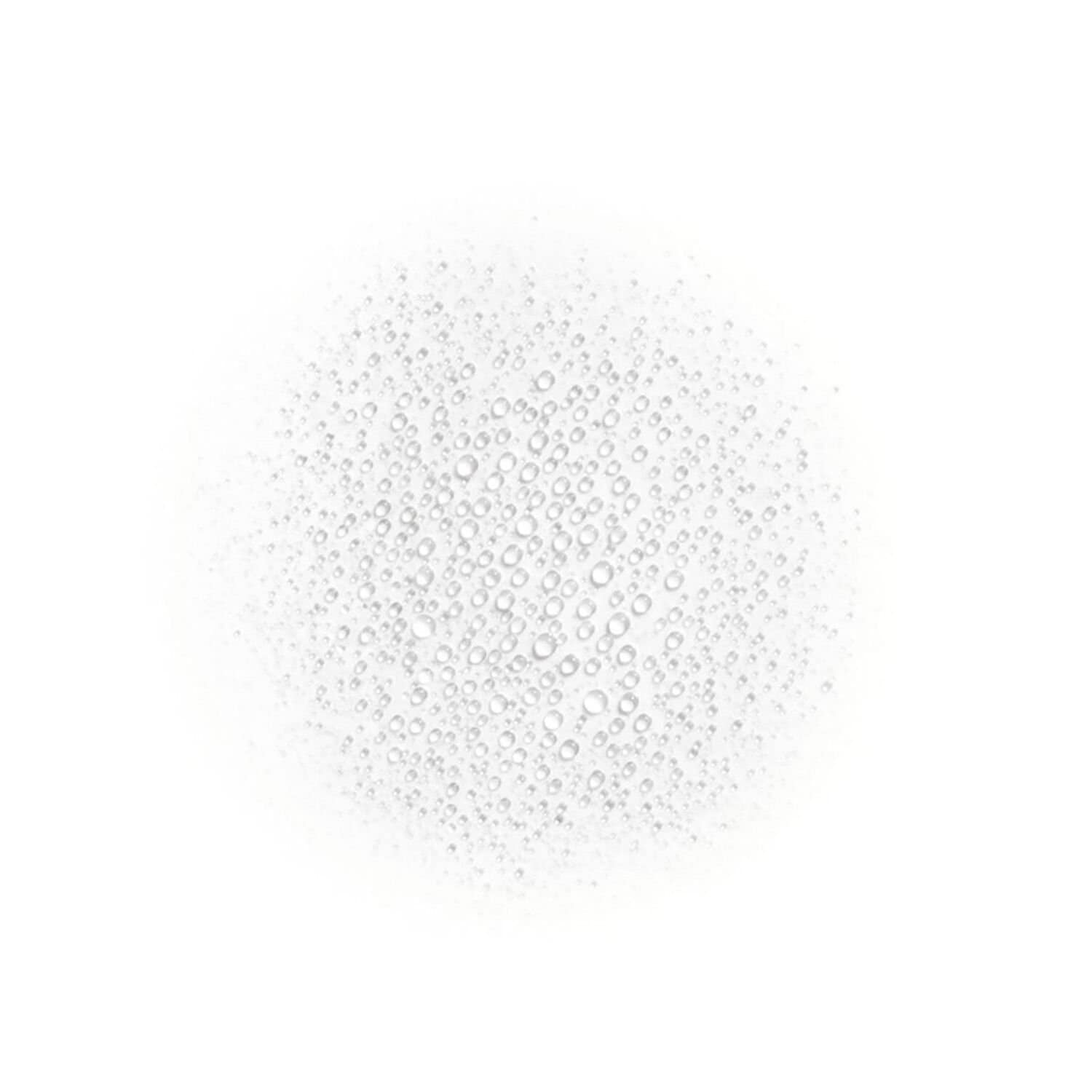 Chanel best sale brume fraiche