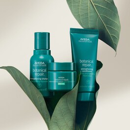 Botanical Repair™ Rich Discovery Set - Coffret cheveux hydratation riche