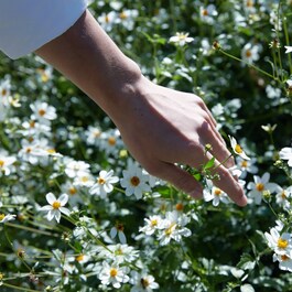 REPLICA Springtime in a Park - Bougie Parfumée florale