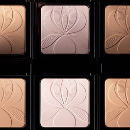 Blur Expert - Poudre de finition perfectrice et lissante