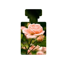 Baptise - Gel hydratant à base d’eau doté d’acide hyaluronique et de miel