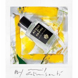 Signatures of the Sun - Lily of the Valley - Eau de Parfum 