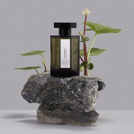 Dzongkha - Eau De Toilette