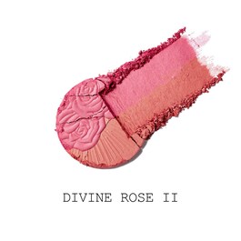 Skin Fetish Divine Blush Duo - Blush