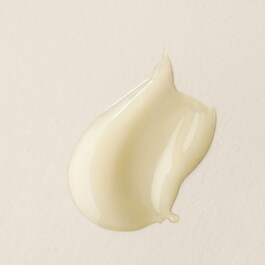 Plantscription™ - Sérum Actif Correcteur Anti-Rides