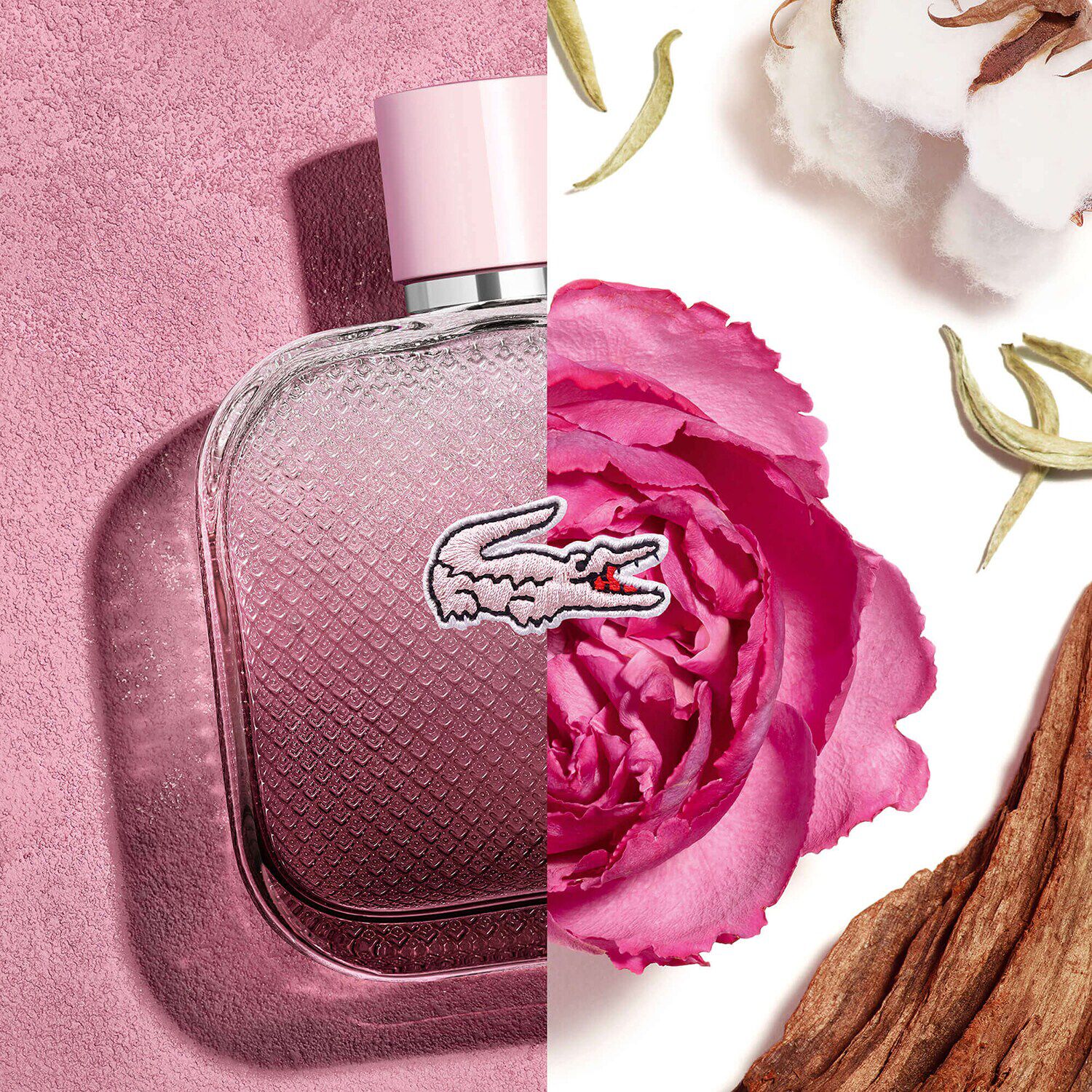 Parfum lacoste pour femme sephora new arrivals