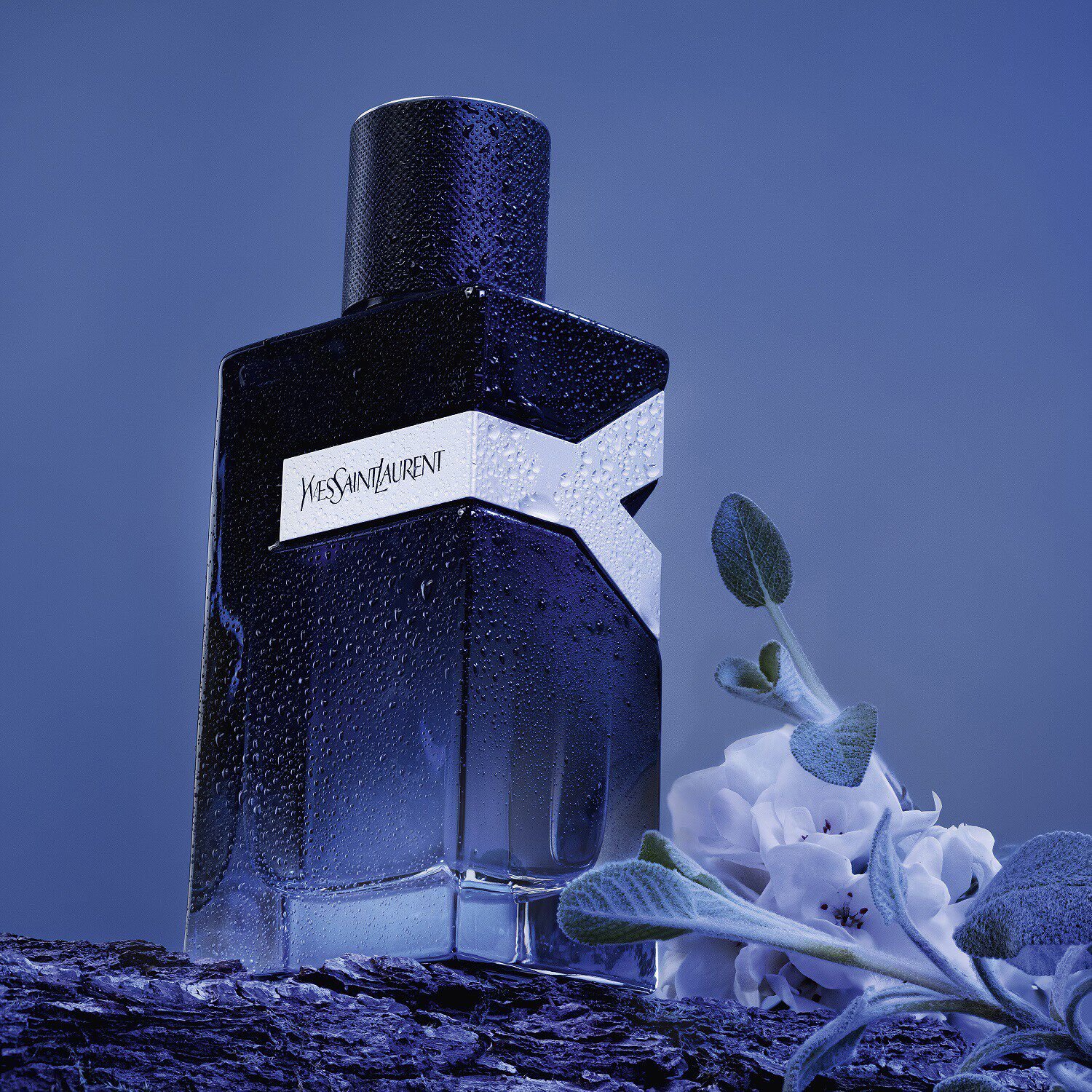 Yves saint laurent y eau de parfum sephora top