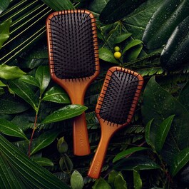 Paddle Brush - Brosse Plate Professionnelle