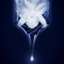 Orchidée Impériale - Le Concentré De Longévité