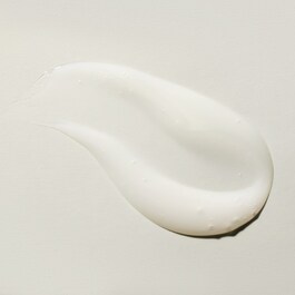 The Ritual of Ayurveda - Shampoing
