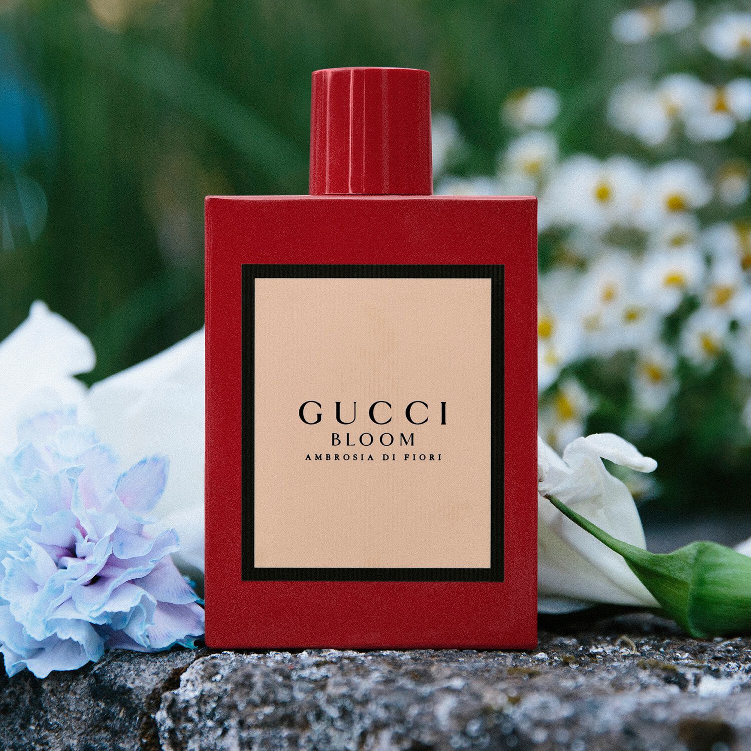 Gucci bloom ambrosia cheap di fiori sephora