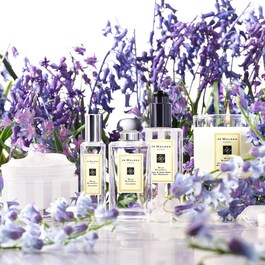 Wild Bluebell - Cologne