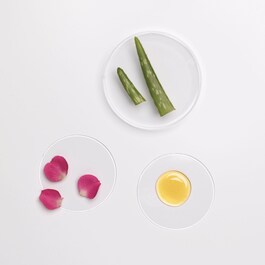 Crème pour les Mains - Parfum Fleur de Coton