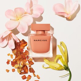Narciso Ambrée - Eau de Parfum Boisée Orientale Ambrée