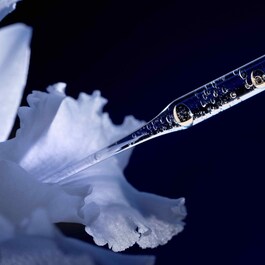 Orchidée Impériale - La Lotion-Essence