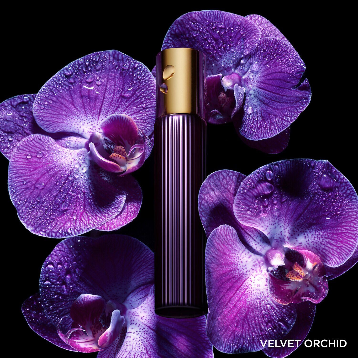 Tom ford velvet orchid 30ml price on sale