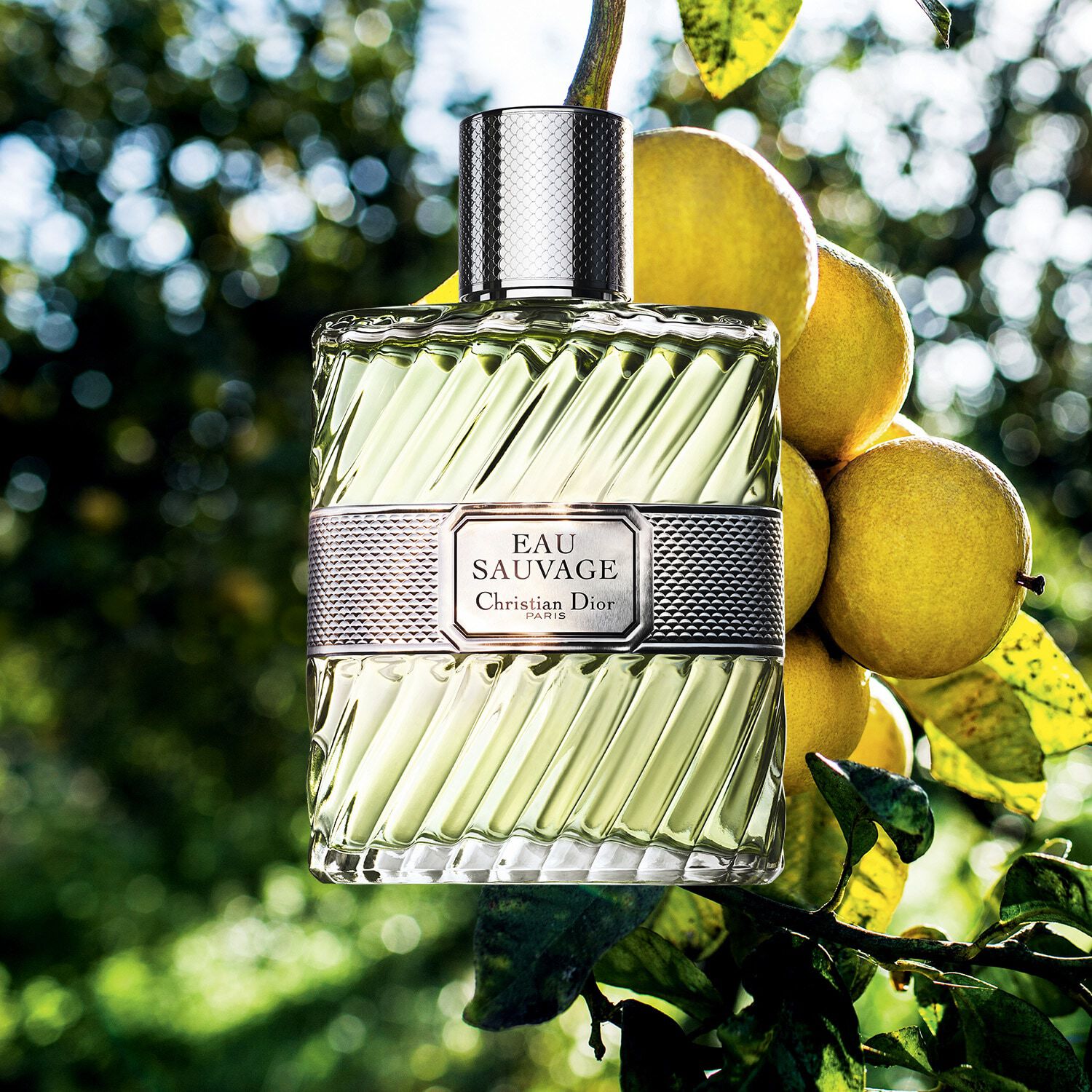 Eau sauvage dior hombre top