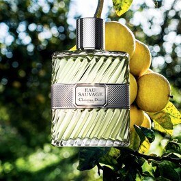 Eau Sauvage - Eau de toilette pour homme - Notes fraîches & ensoleillées