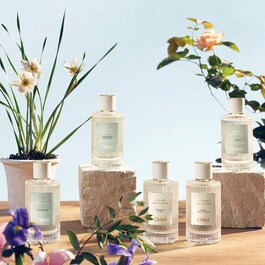 Atelier des Fleurs Narcissus Poeticus - Eau de Parfum