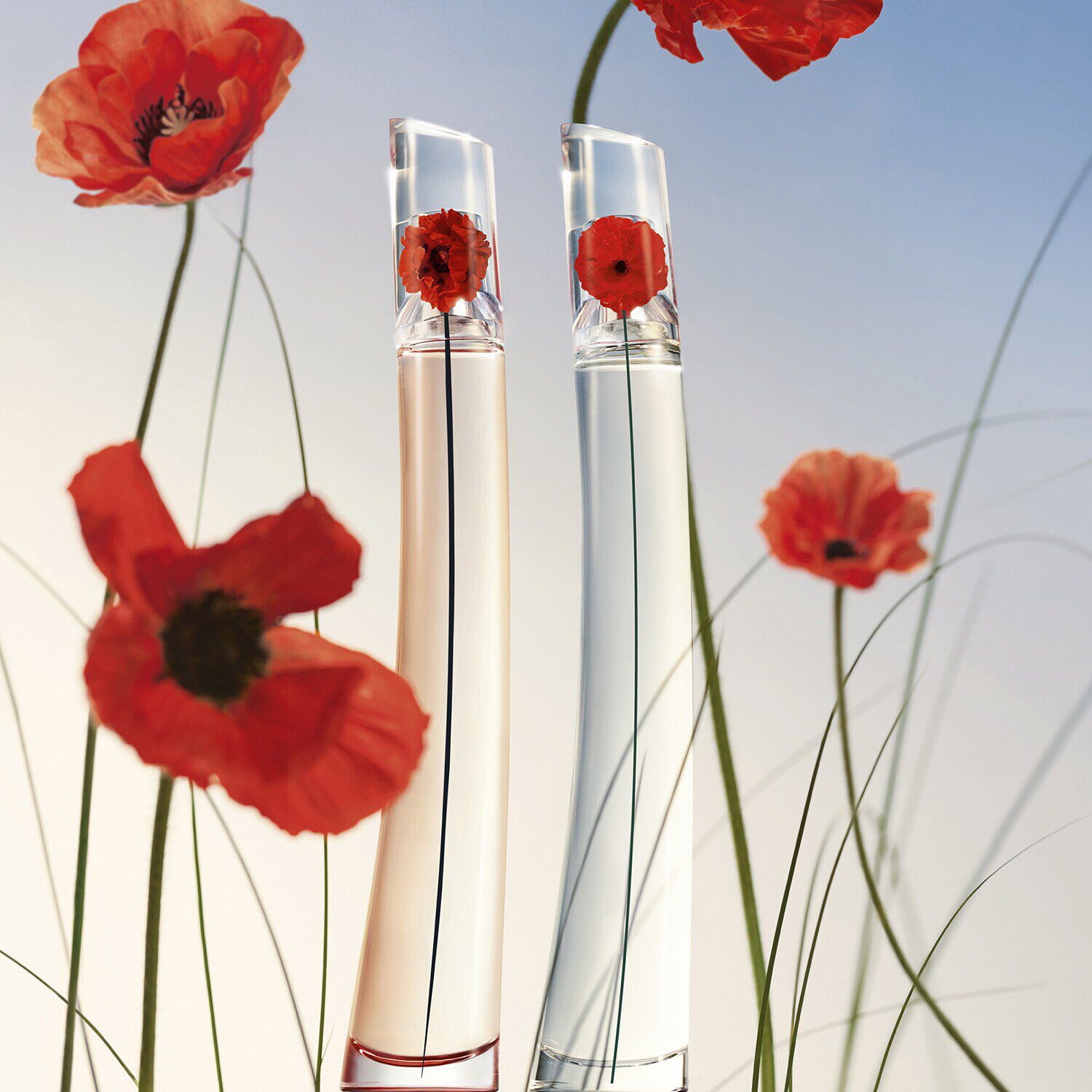 fleurs kenzo