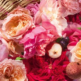 Aqua Allegoria Harvest - Rosa Rossa - Eau De Toilette