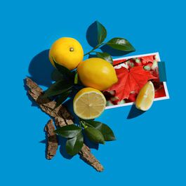 Отзыв от довольного покупателя