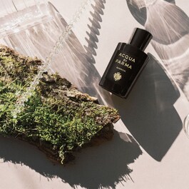Signatures of the Sun Quercia - Eau de Parfum Boisé Aromatique