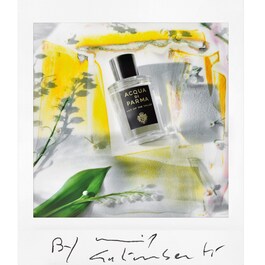 Signatures of the Sun - Lily of the Valley - Eau de Parfum 