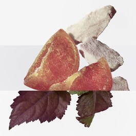 Elixir des Merveilles - Eau de Parfum