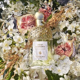 Aqua Allegoria - Nerolia Vetiver - Eau De Toilette
